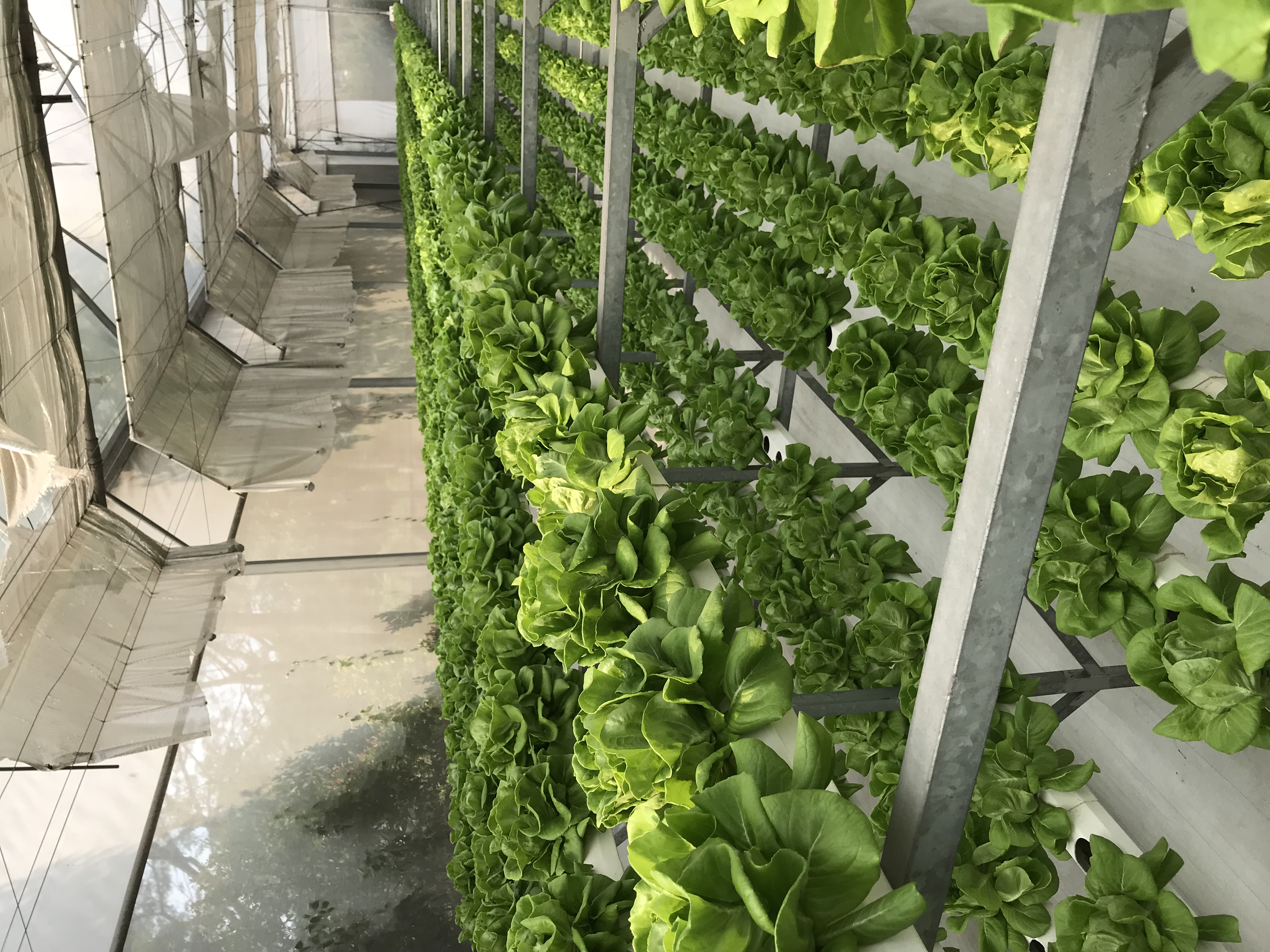 Nông nghiệp thông minh